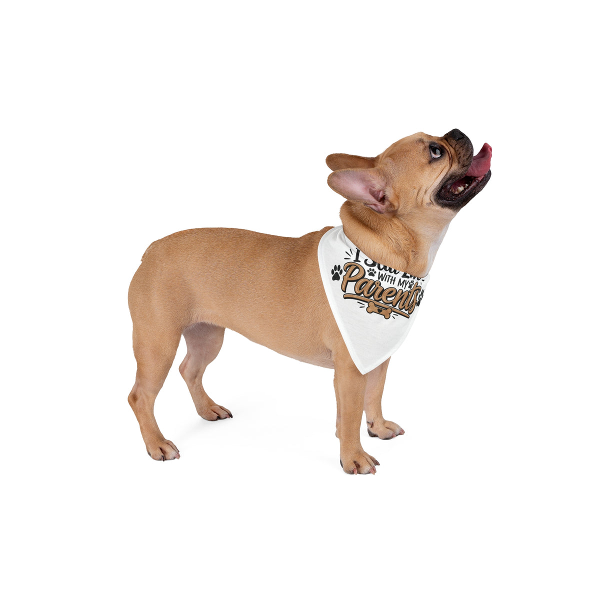 Funny Dog Bandanas, I Still Live With My Parents Pet Bandana, Cute Dog Gift, Funny Puppy Accessory